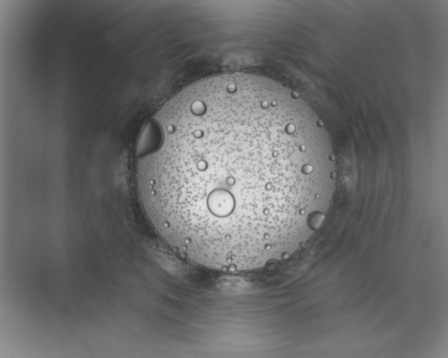 X0000073970519200609051848