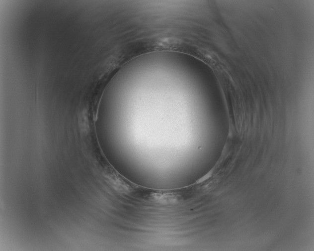 X0000073970520200609051848