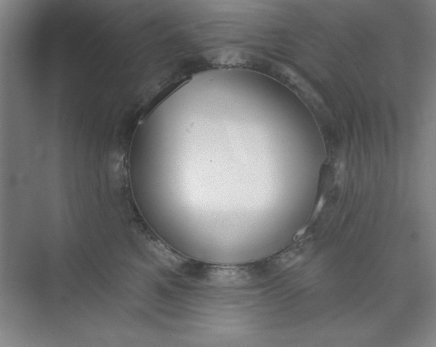 X0000073970521200609051848