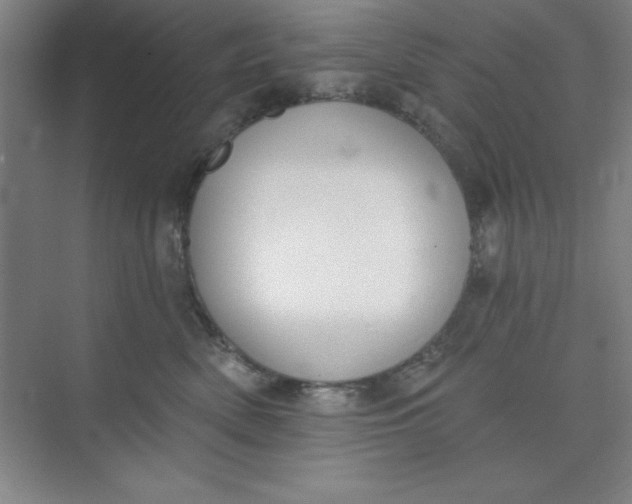 X0000073970522200609051848