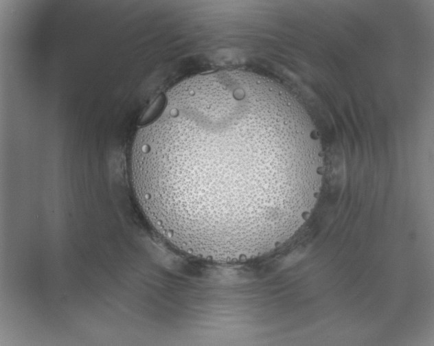 X0000073970523200609051848