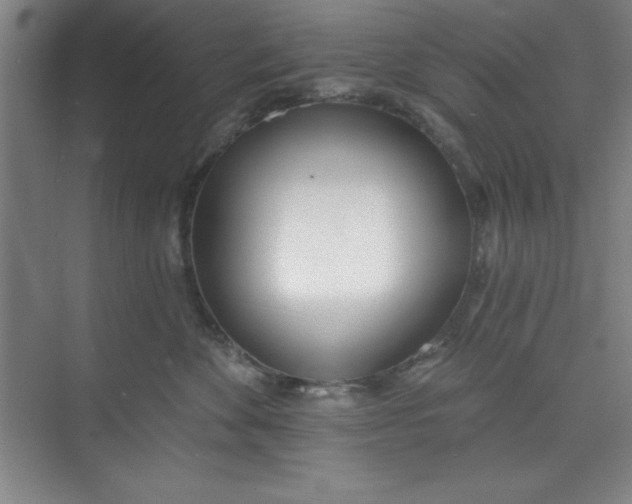 X0000073970524200609051848