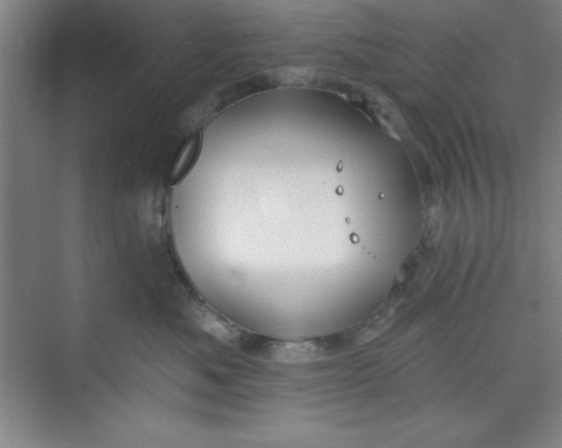 X0000073970525200609051848