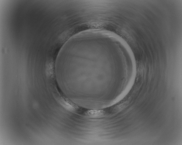 X0000073970526200609051848