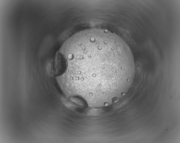 X0000073970527200609051848