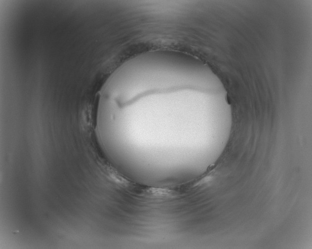 X0000073970528200609051848