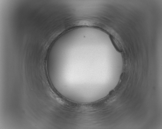 X0000073970529200609051847