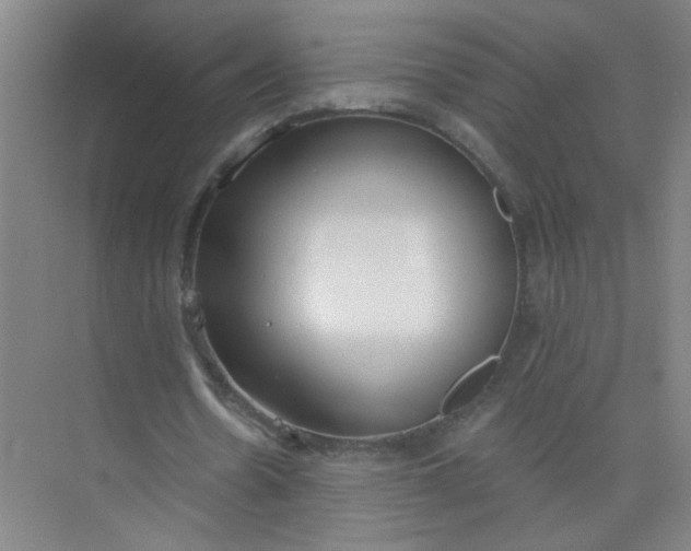 X0000073970530200609051847