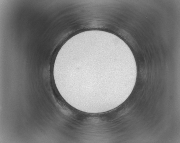 X0000073970534200609051848