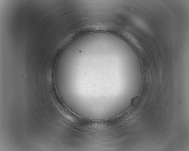 X0000073970537200609051848