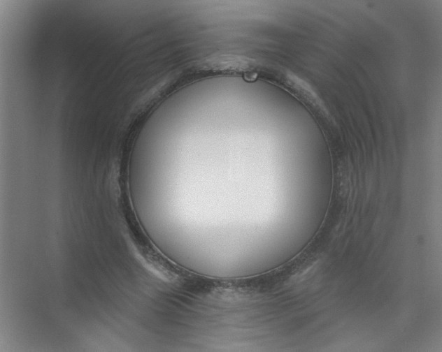 X0000073970538200609051848