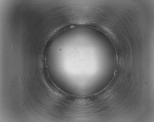 X0000073970540200609051848