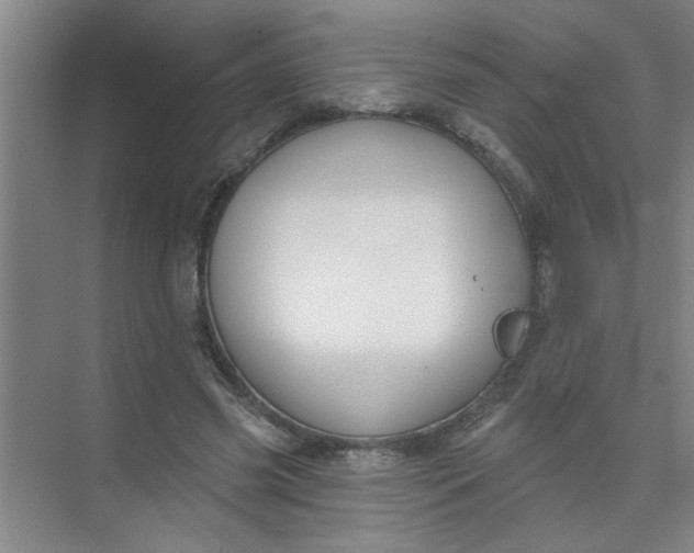 X0000073970541200609051848