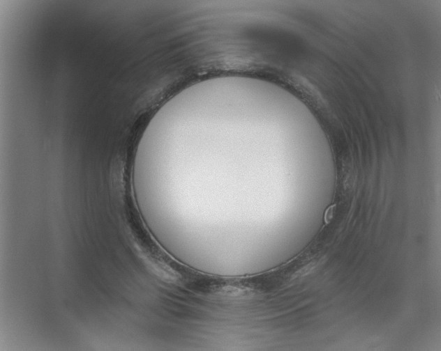 X0000073970542200609051848