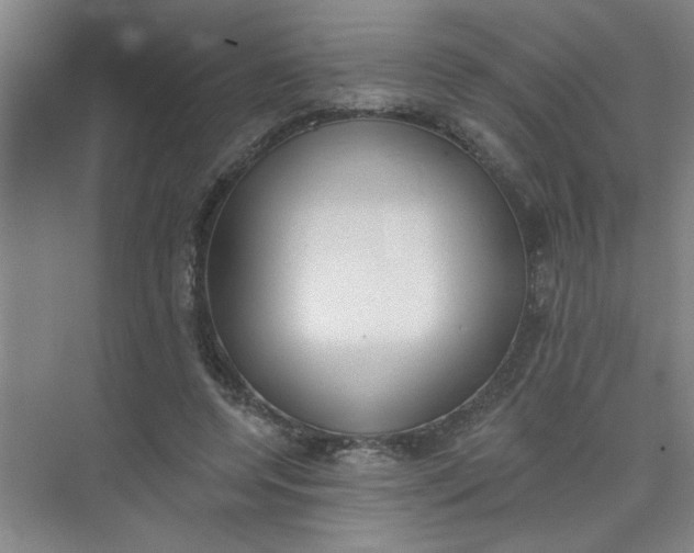 X0000073970544200609051848