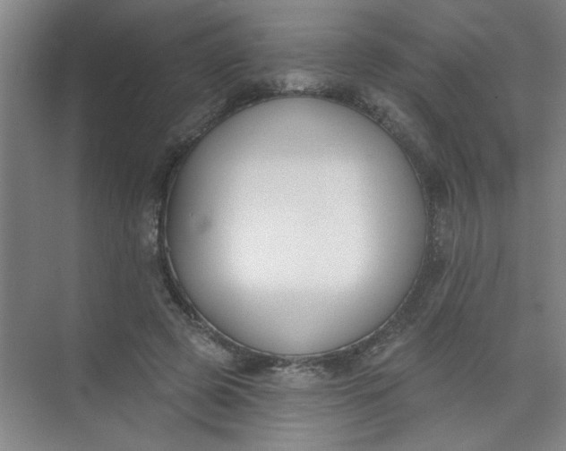 X0000073970545200609051848