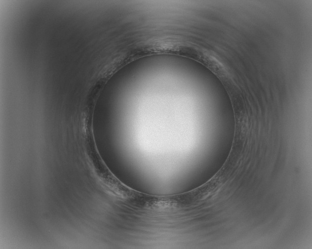 X0000073970546200609051848