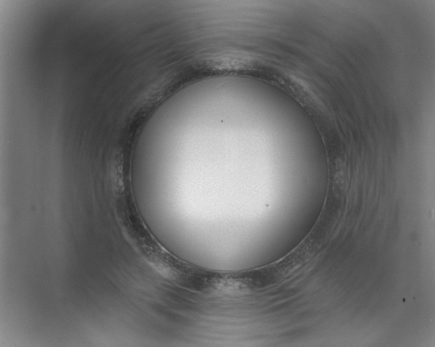 X0000073970547200609051848