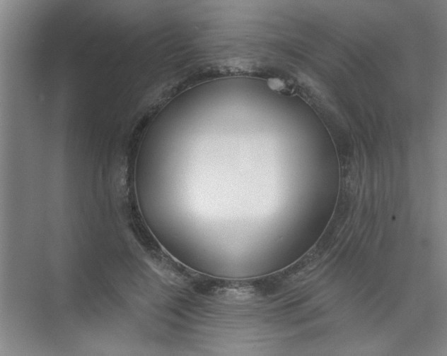 X0000073970548200609051848