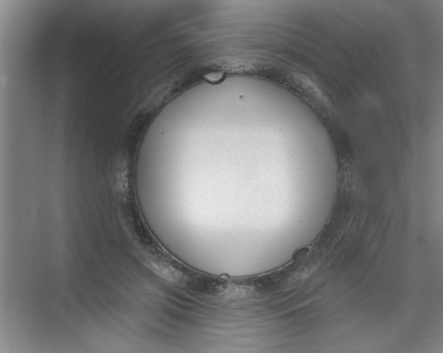 X0000073970549200609051848