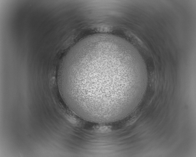 X0000073970553200609051848