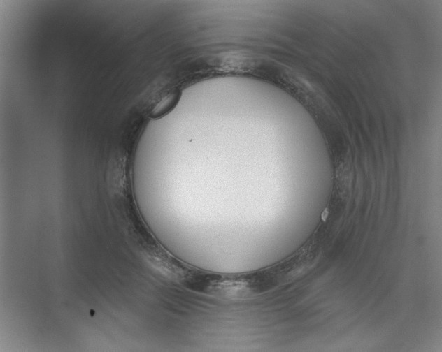 X0000073970554200609051848