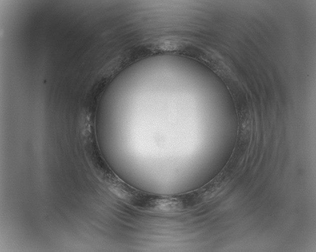 X0000073970555200609051848