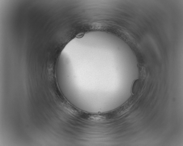 X0000073970557200609051848