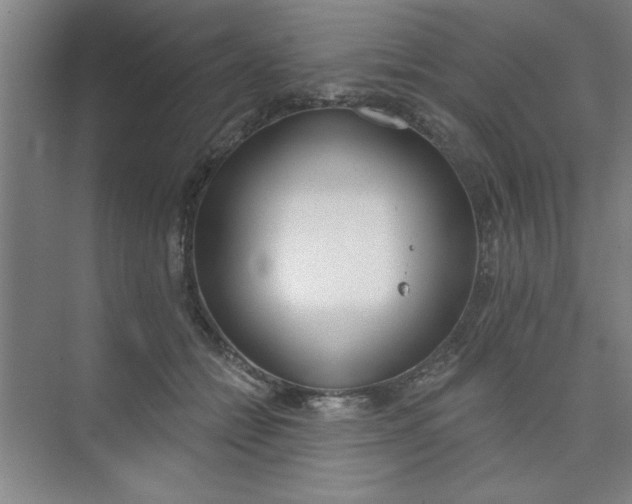 X0000073970558200609051848