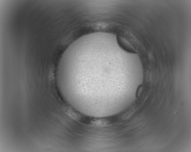 X0000073970561200609051848