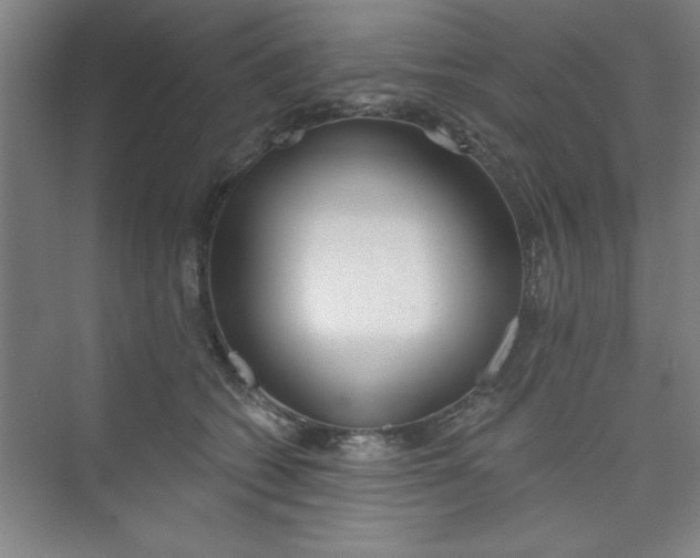 X0000073970562200609051848