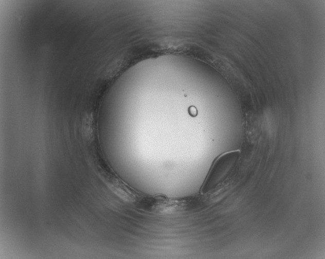 X0000073970563200609051848