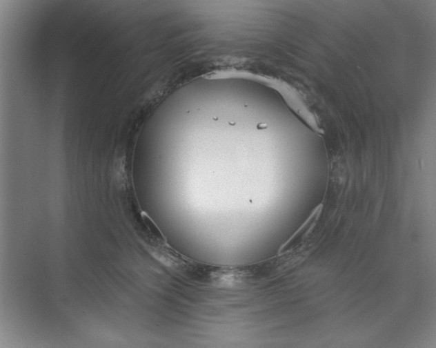 X0000073970564200609051848