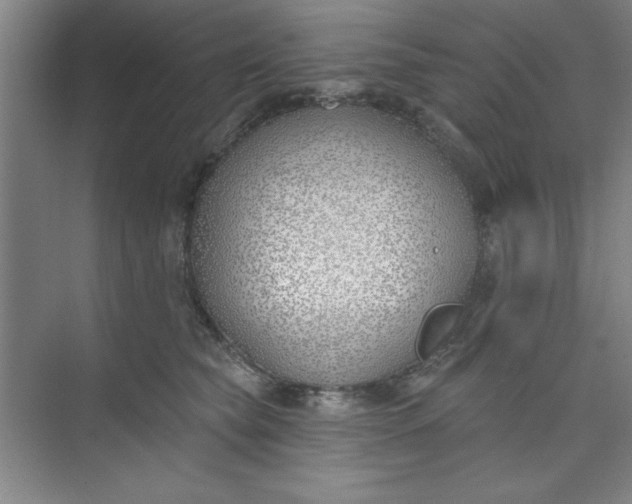 X0000073970565200609051848