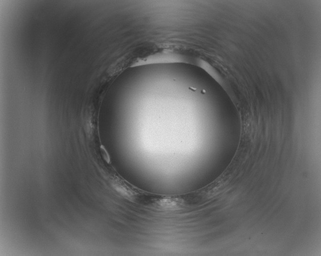 X0000073970566200609051848