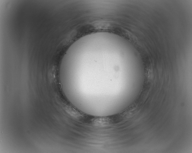 X0000073970567200609051848