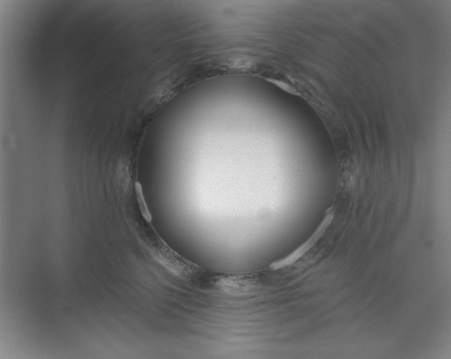 X0000073970568200609051848