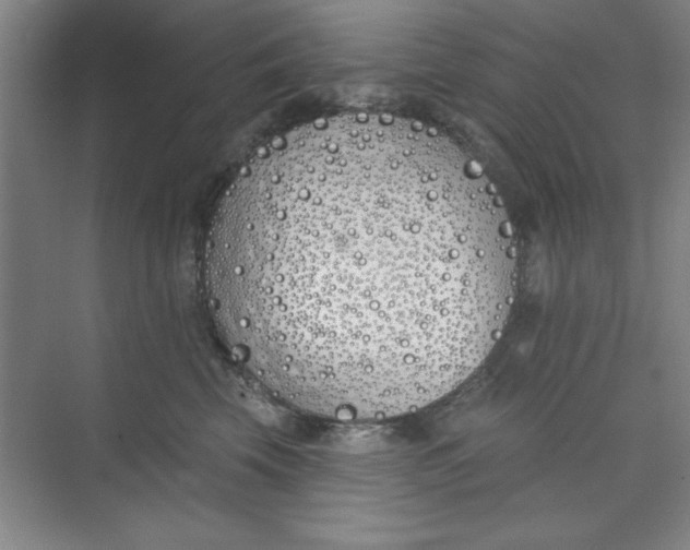 X0000073970569200609051848