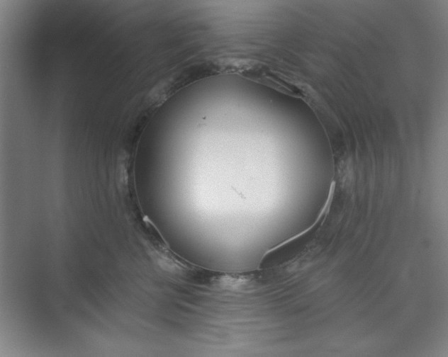 X0000073970570200609051848