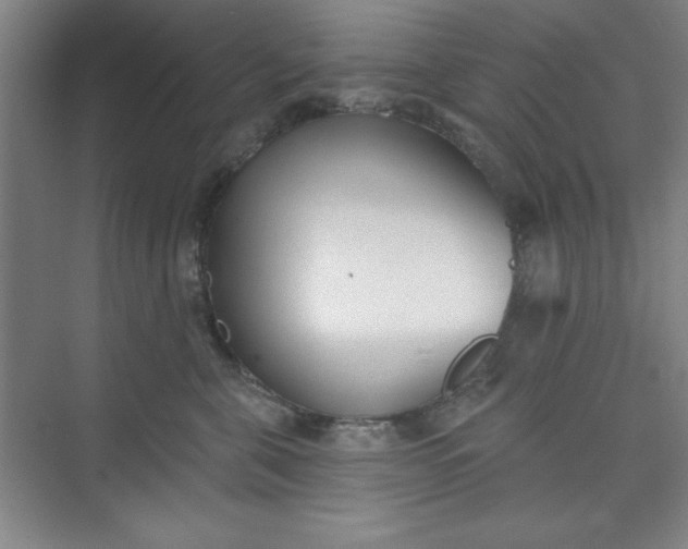 X0000073970571200609051848