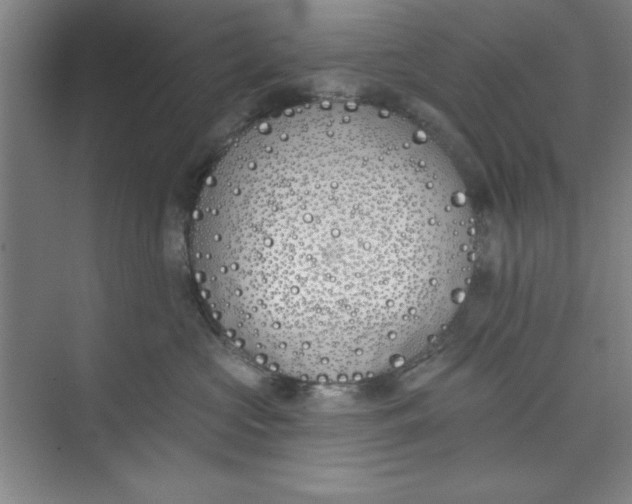 X0000073970573200609051848