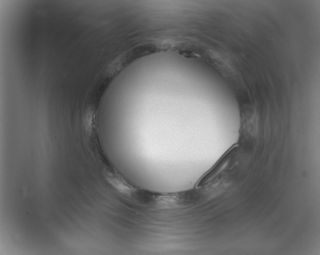 X0000073970574200609051848