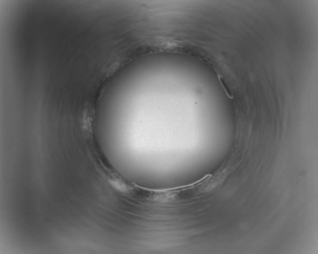 X0000073970576200609051848