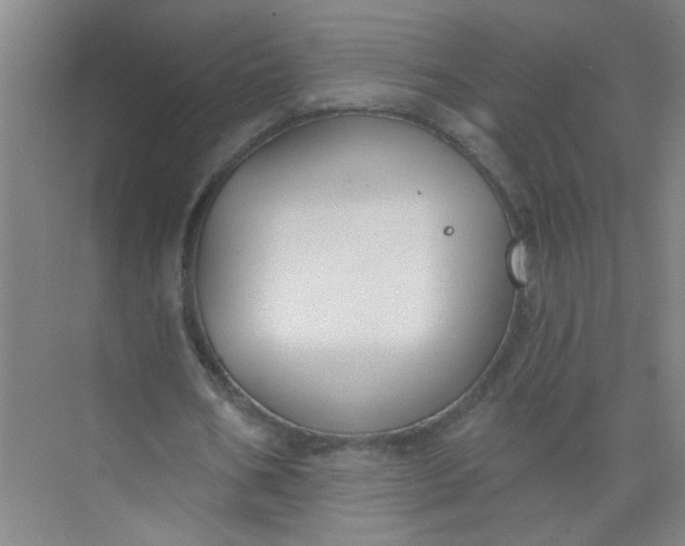 X0000073970578200609051847