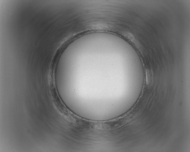 X0000073970579200609051847