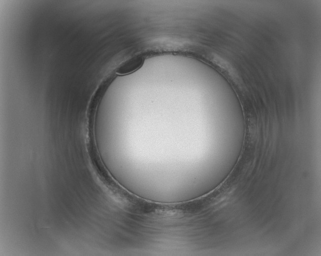 X0000073970582200609051847