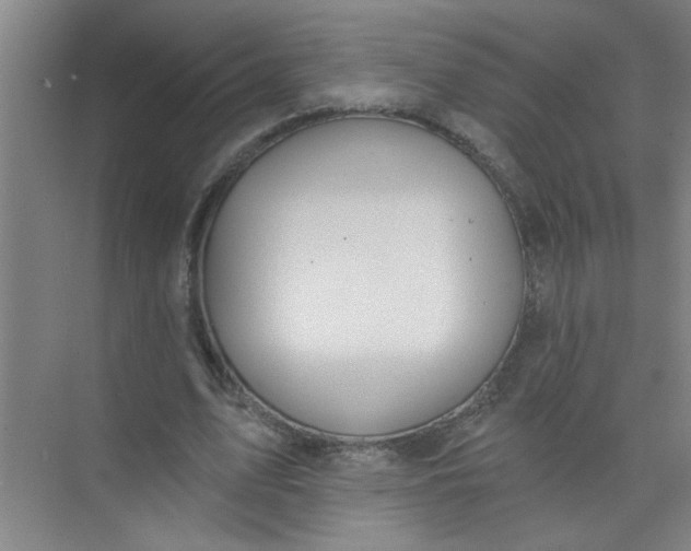 X0000073970583200609051847