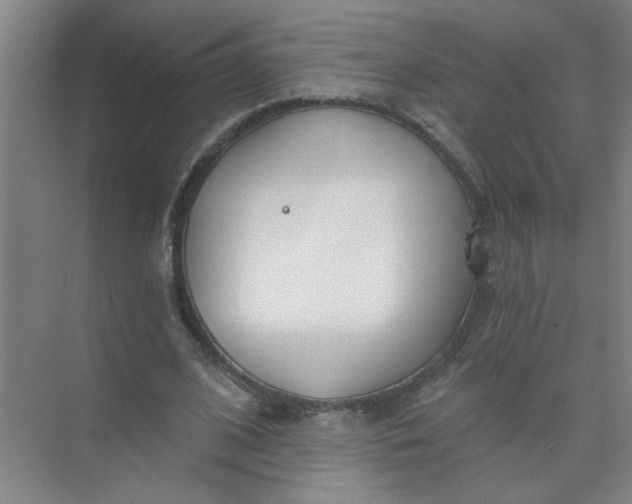 X0000073970584200609051847