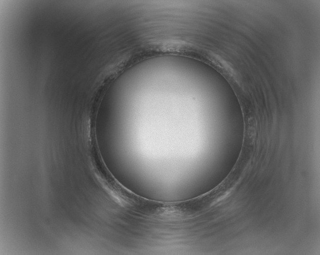 X0000073970589200609051847