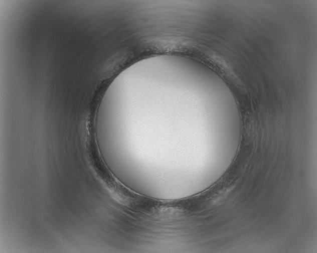 X0000073970590200609051847